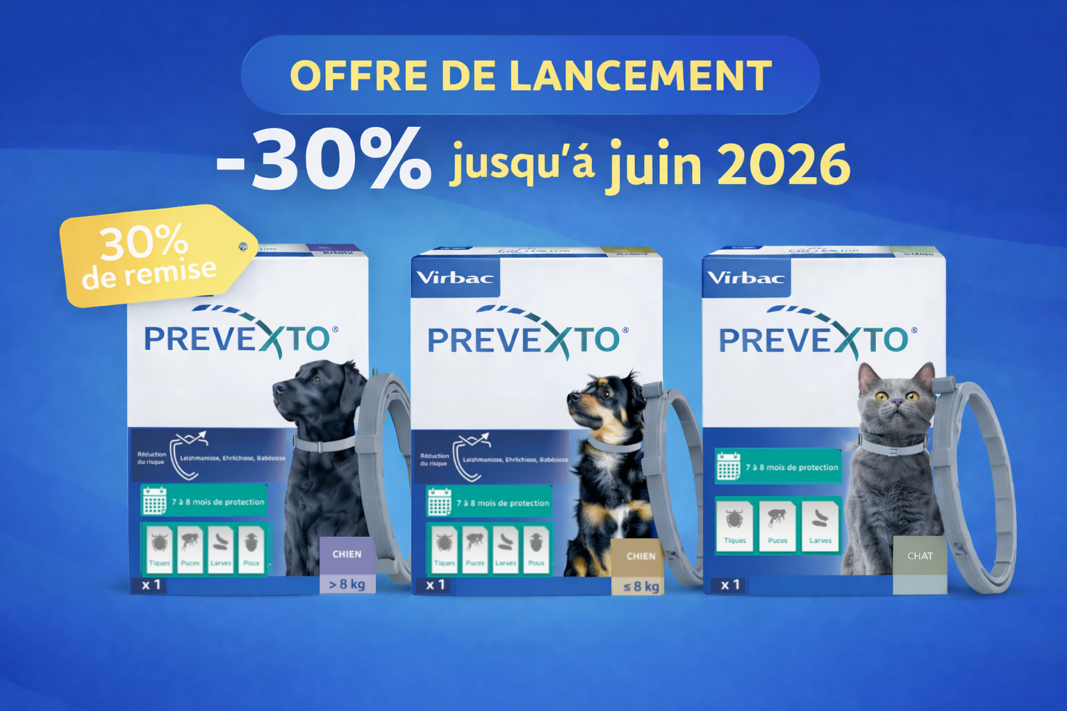 Offre découverte PREVEXTO
